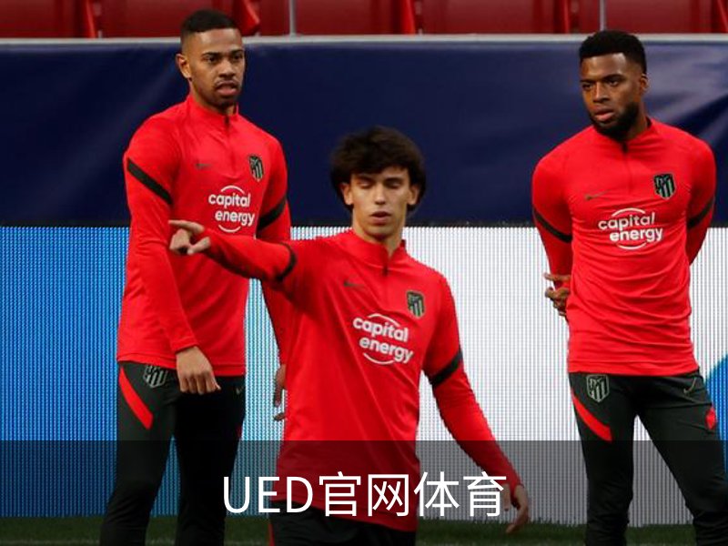 关于UED官网体育